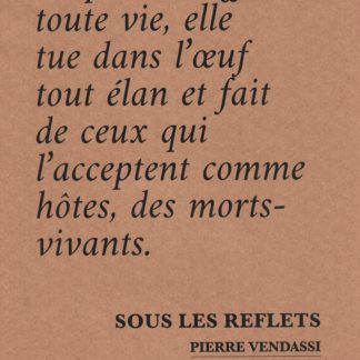 Sous les reflets - La peur
